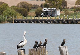 Coorong RV Friendly