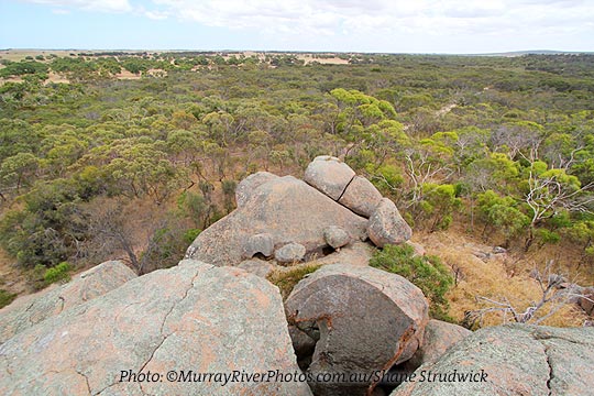 Boothby Rocks