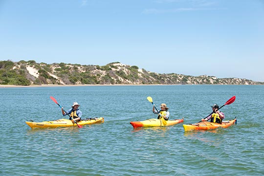 Canoe the Coorong