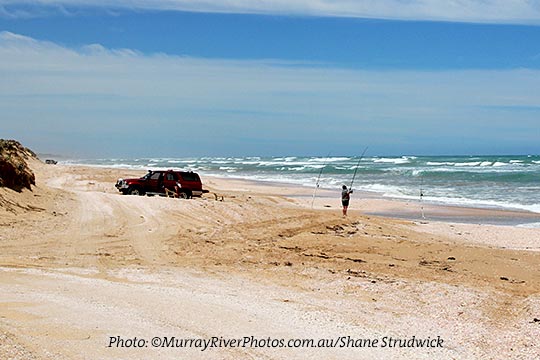 Coorong Beach