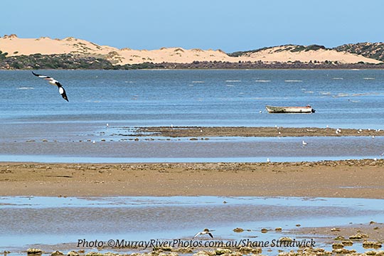 Coorong National Park