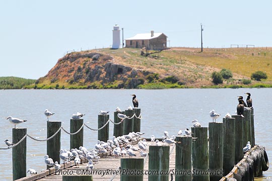 Point Malcolm Lighthouse from Narrung Jetty