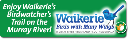 Waikerie Birdwatcher's Trail